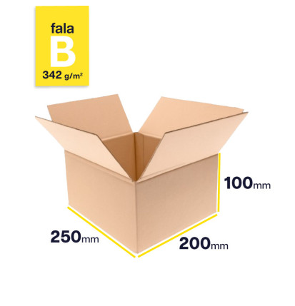 Karton 250x200x100 klapowy 3-warstwowy fala B 342g